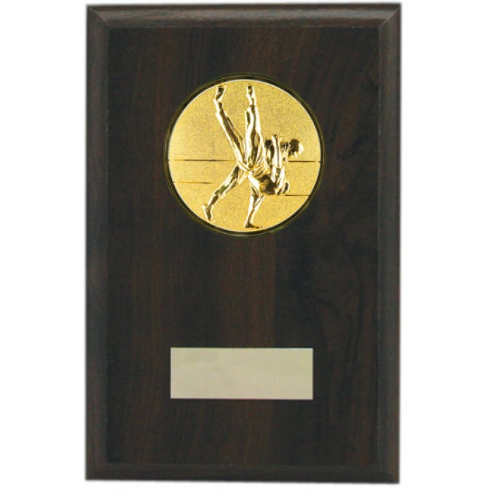 Budget grappling wooden plaque 6'' -  choice of sports centre 